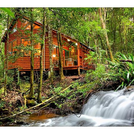 The Mouses House Rainforest Retreat Springbrook Zewnętrze zdjęcie