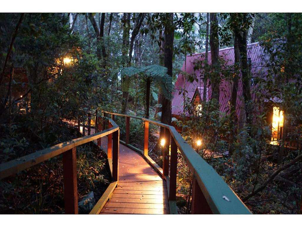 The Mouses House Rainforest Retreat Springbrook Zewnętrze zdjęcie