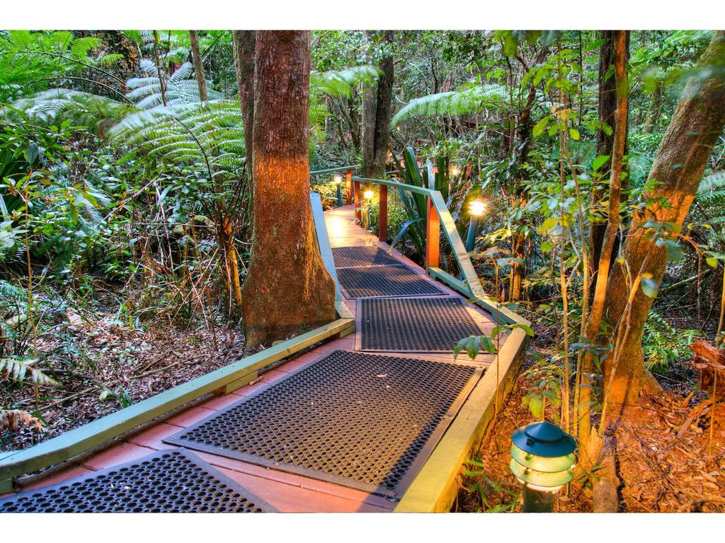 The Mouses House Rainforest Retreat Springbrook Zewnętrze zdjęcie